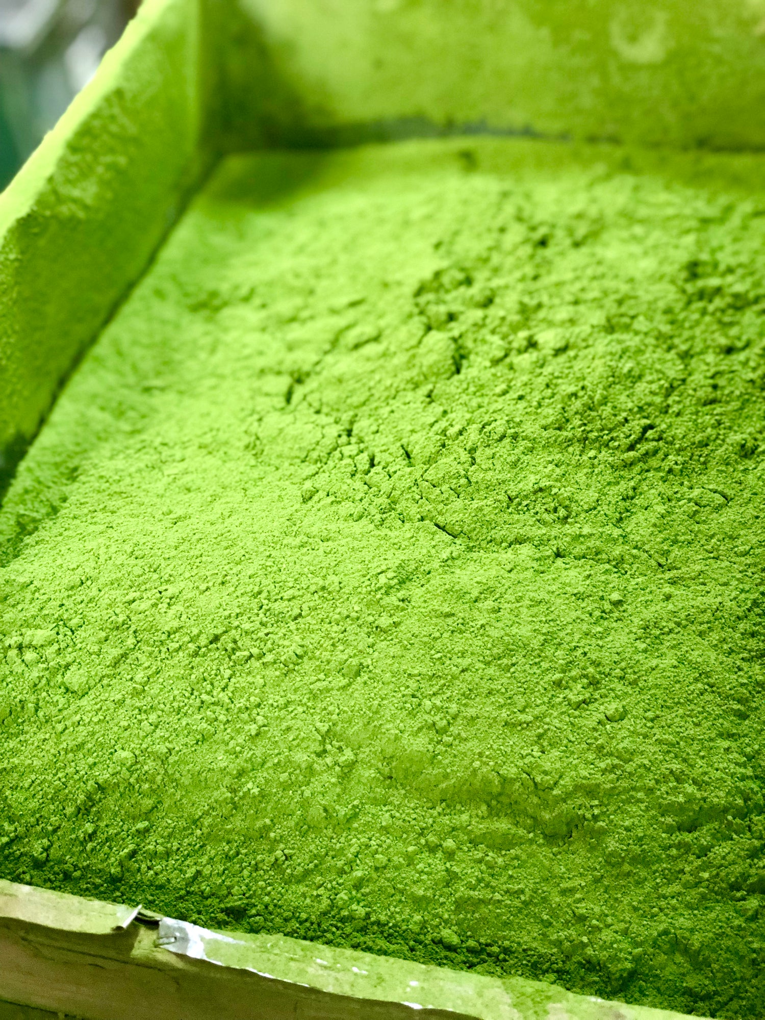 Hojicha Haus wholesale ceremonial matcha 1kg bag from Osada Seicha in Shizuoka, Japan